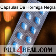 Cápsulas De Hormiga Negra viagra3